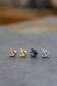 Preview: PIERCING-STECKER ANKER